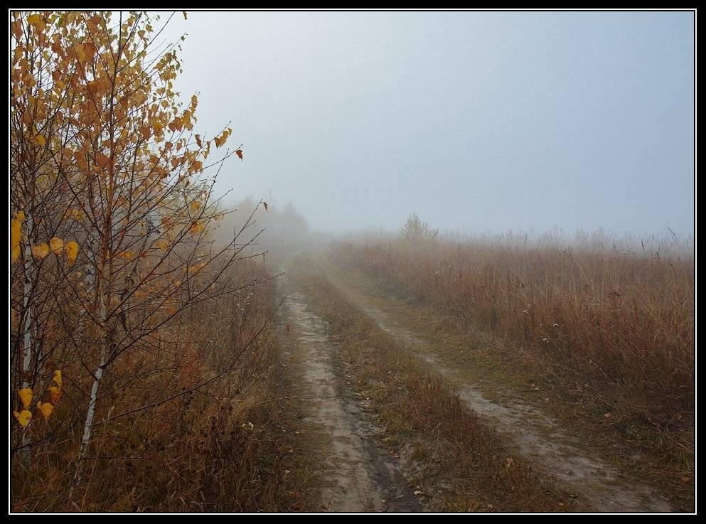 , Юрий Фролов