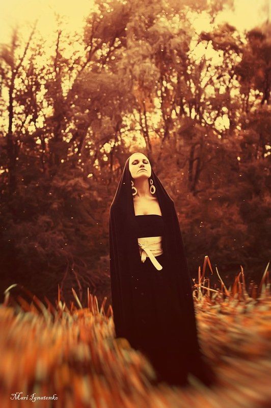 Пересмешник фото превью