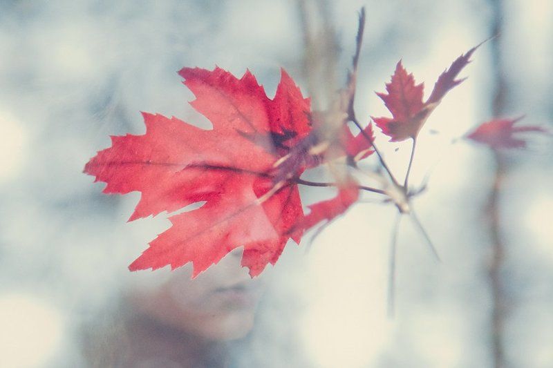 осень, девушка, портрет, ((())) фото превью