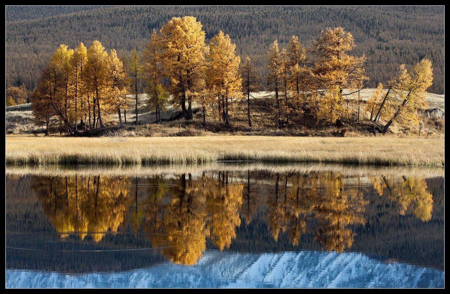 алтай, Виктория Роготнева