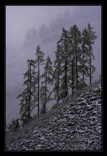 О Первом Снеге