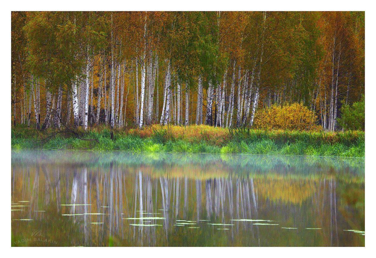 , Vadim Balakin