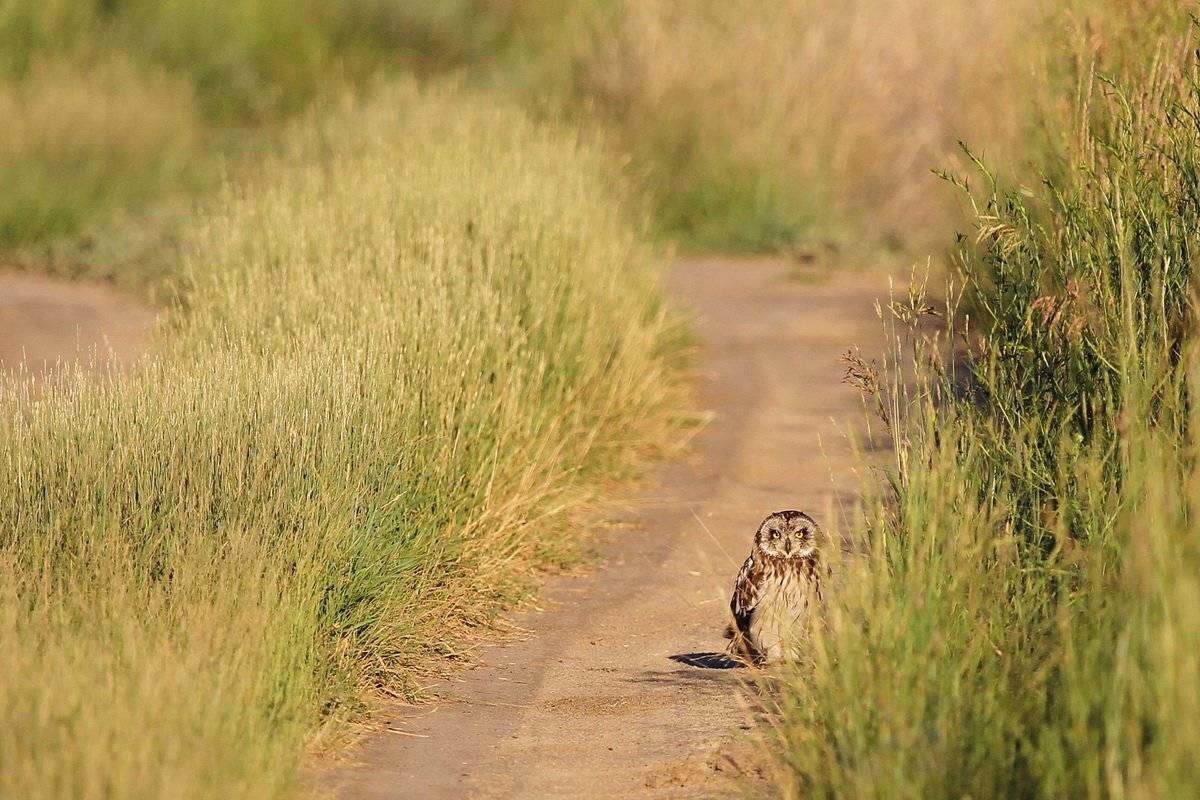 , Васенин Валерий