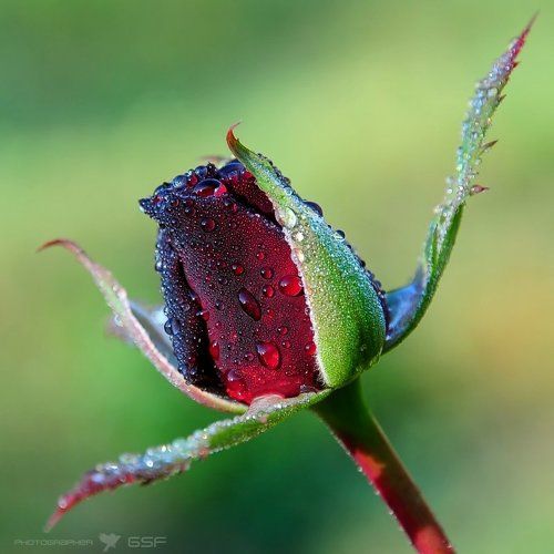 Диагональное