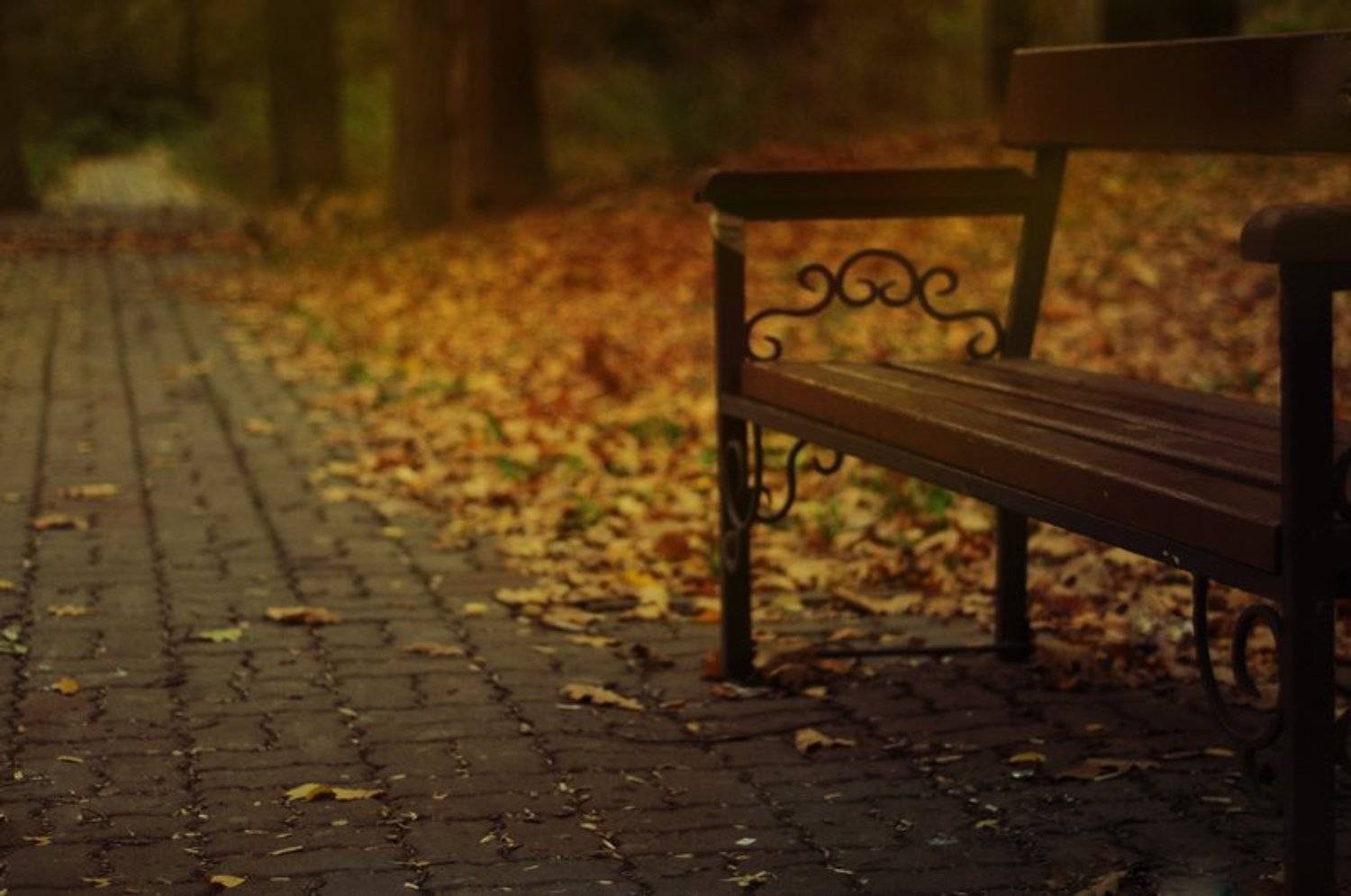 , Семёнова Юлия