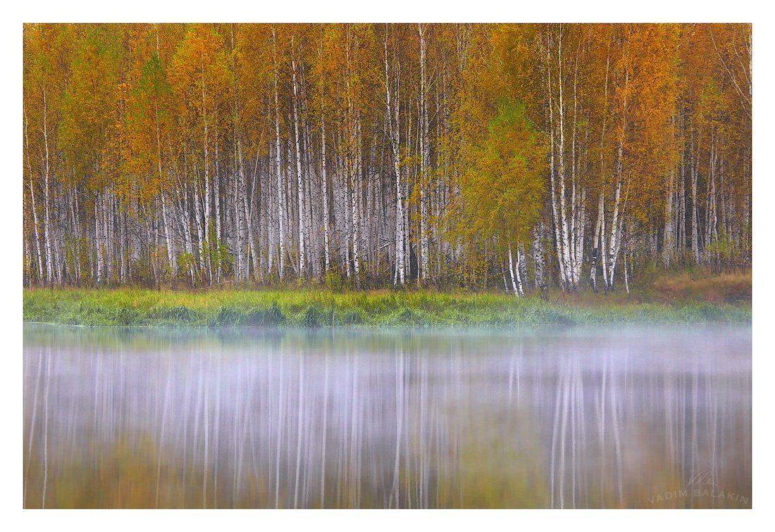 чусовая, средний урал, россия, октябрь, осень, Vadim Balakin