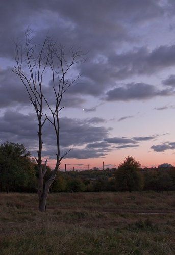 Зарисовки с Лысой горы.