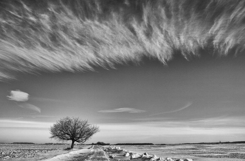 - фото превью