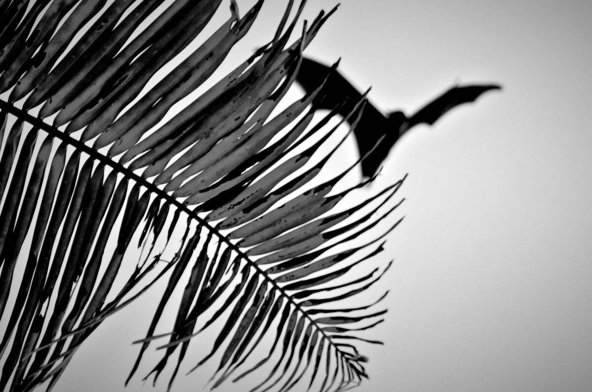 , Якимов Андрей