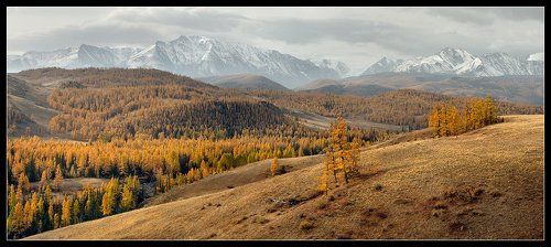 Долина реки Актру...