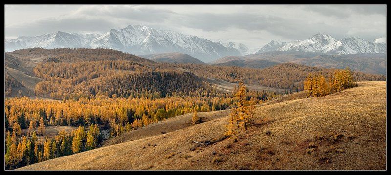алтай ,река, актру, долина, осень Долина реки Актру... фото превью
