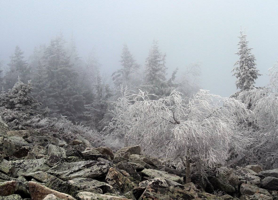 , Васенин Валерий
