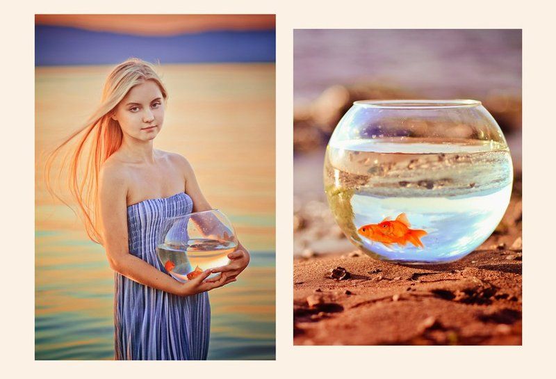 Fish фото превью