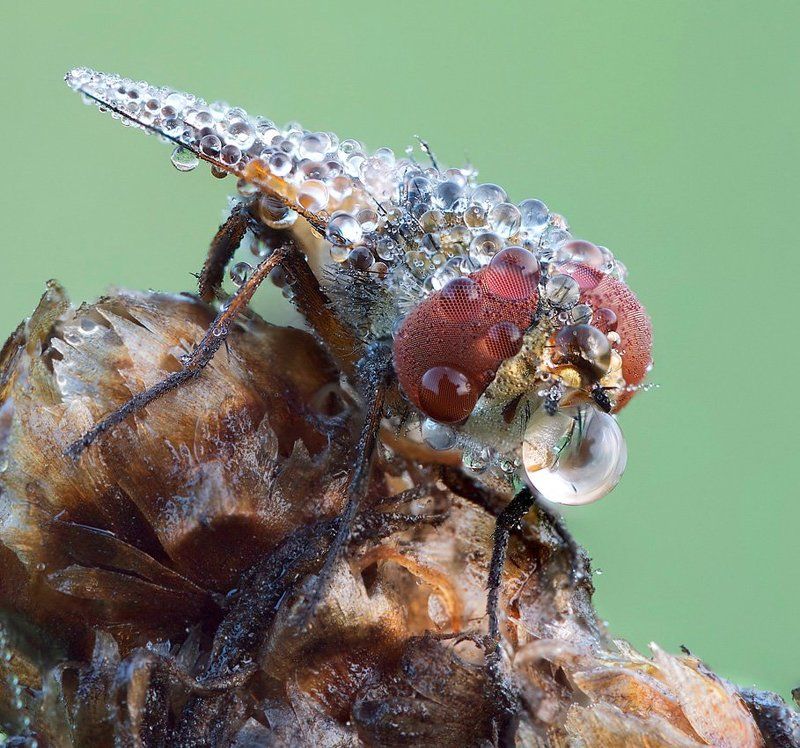 простуженный очкарик фото превью