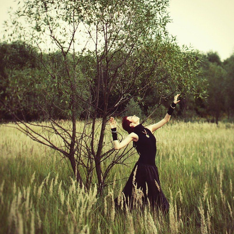 Forever autumn фото превью