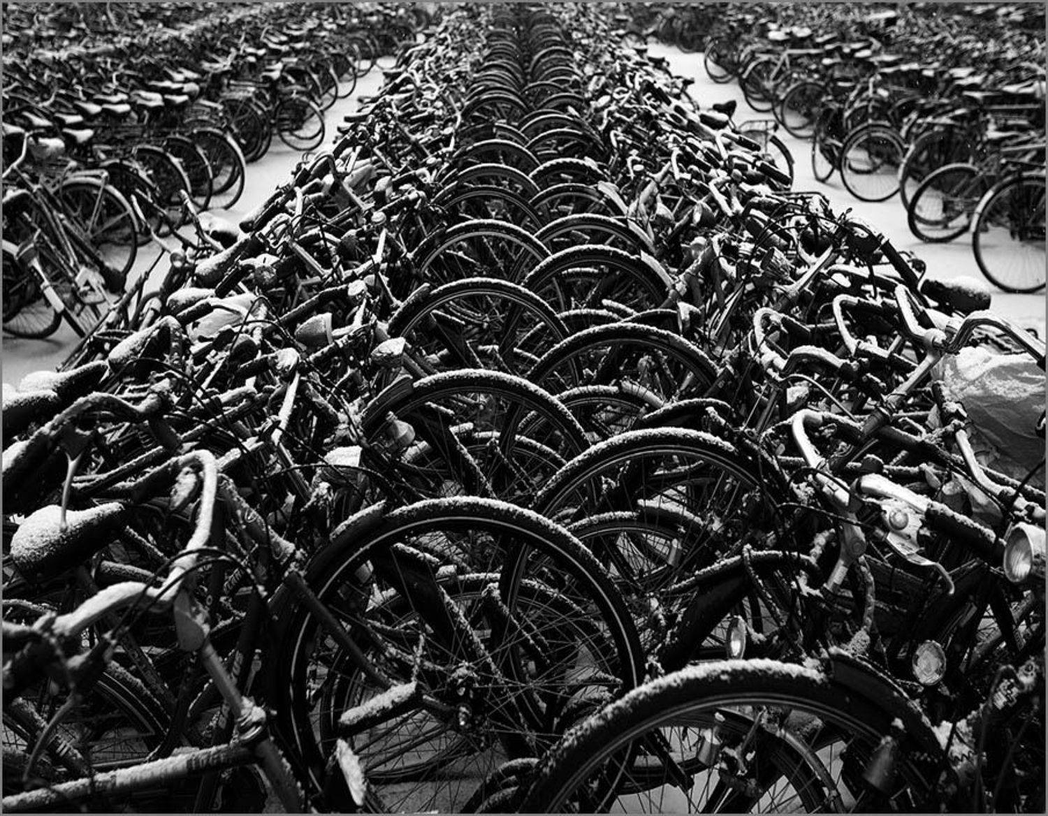 дельфт, велосипед, Михаил Чурбанов