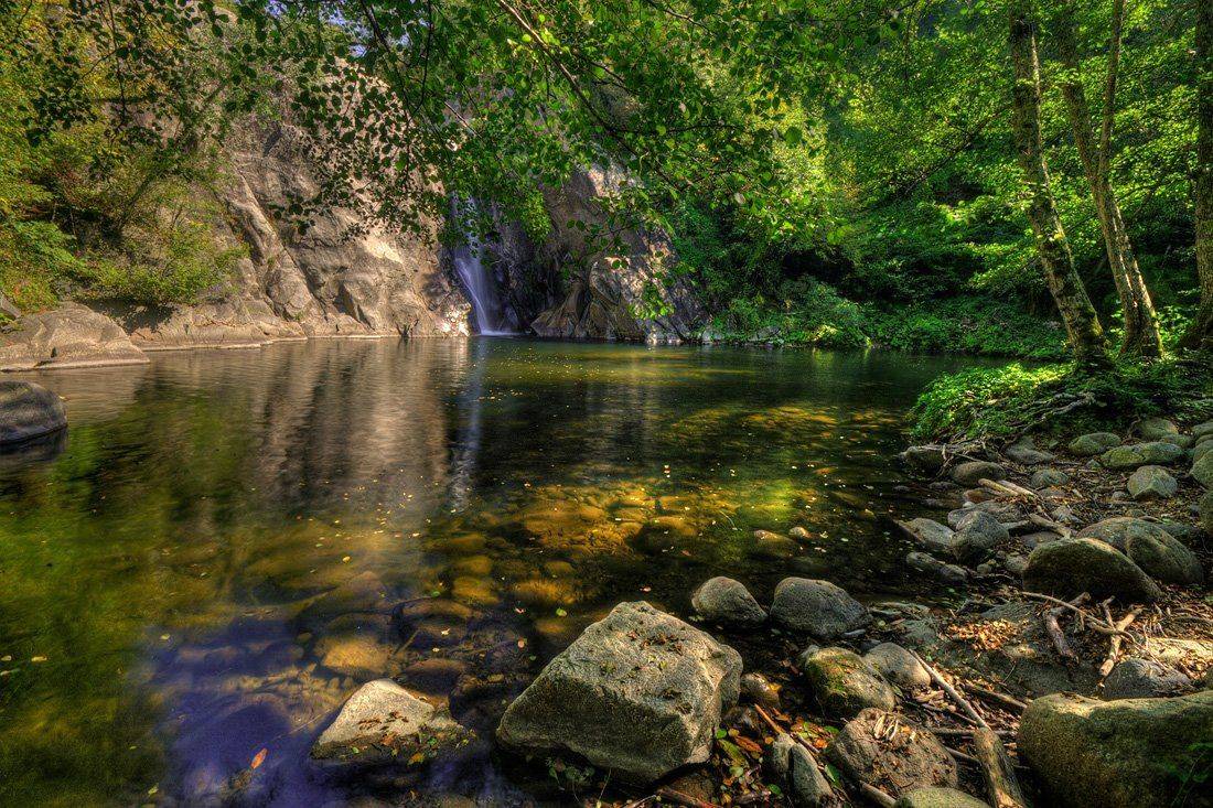 waterfall, tree, colorful, Philip Peynerdjiev