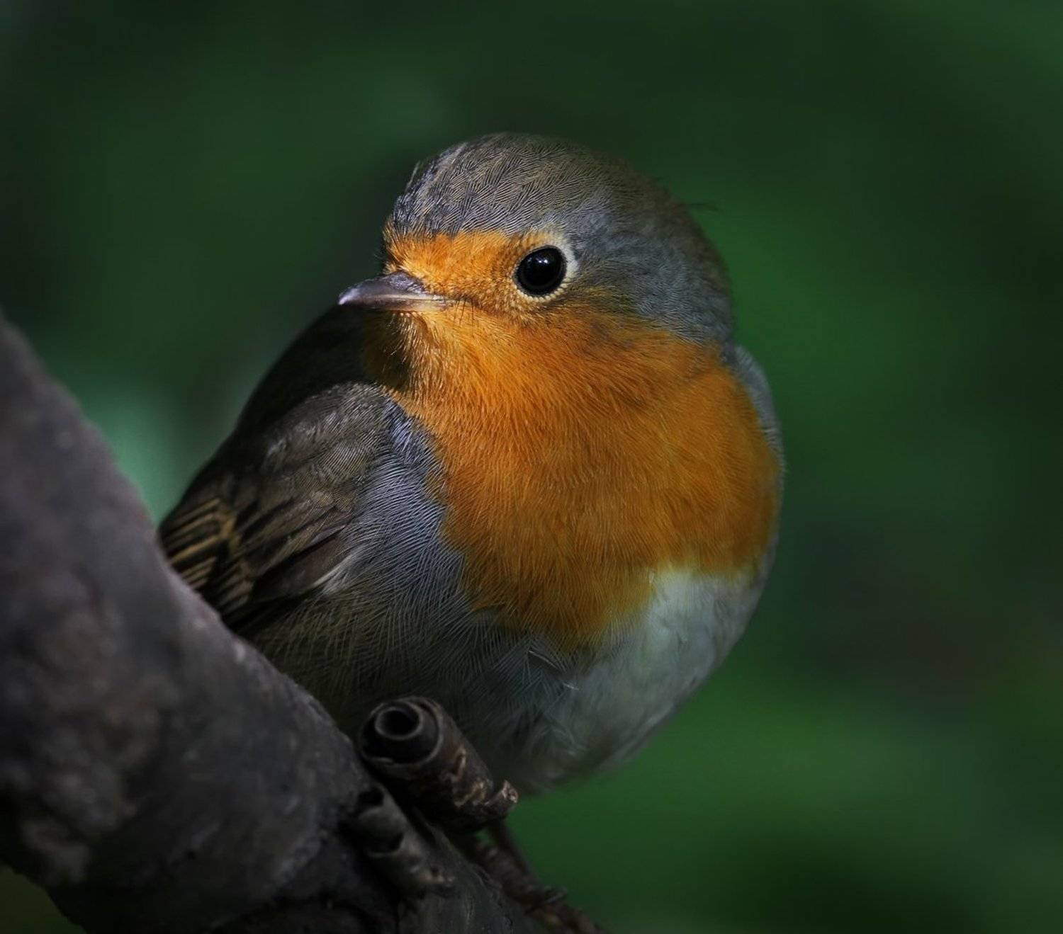 , Зоя Лаптева