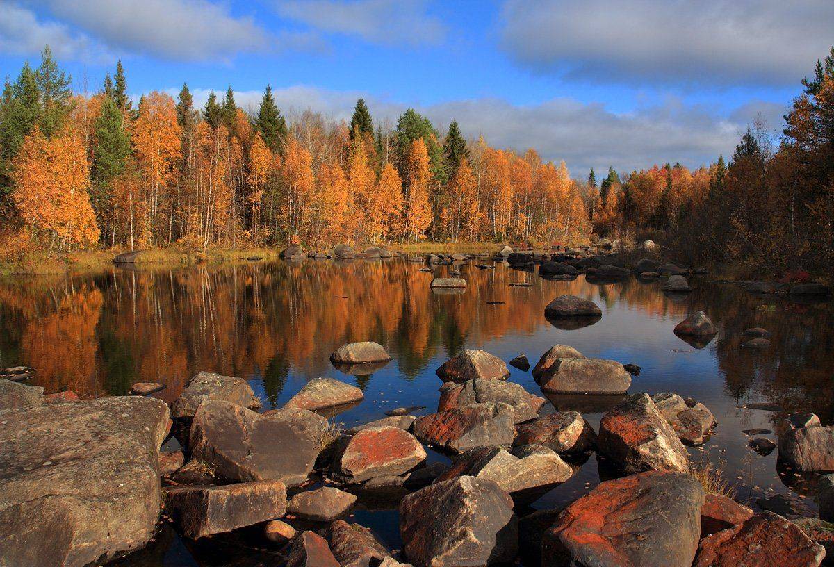 , Андрей Котов