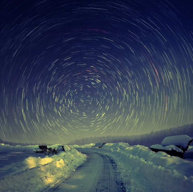 Queen of the night фото превью