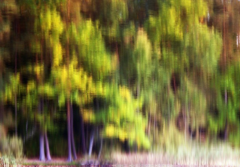 *** autumn фото превью