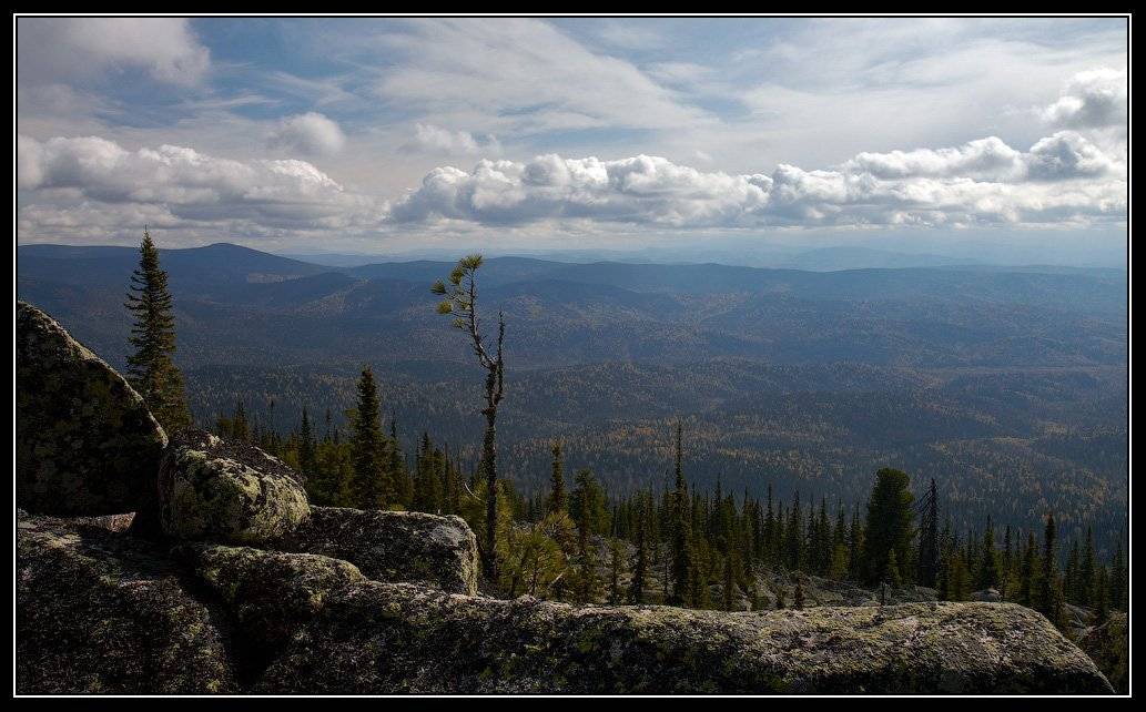 , Юрий Фролов