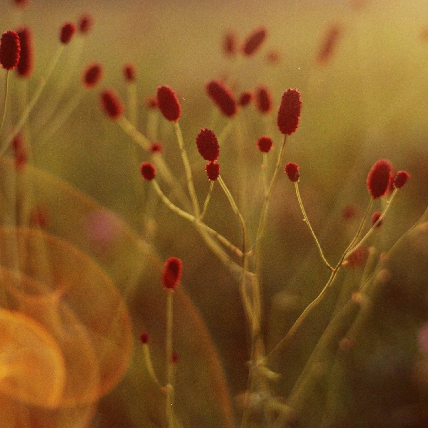 , Татьяна Галкина