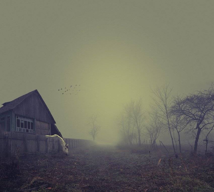 , Caras Ionut