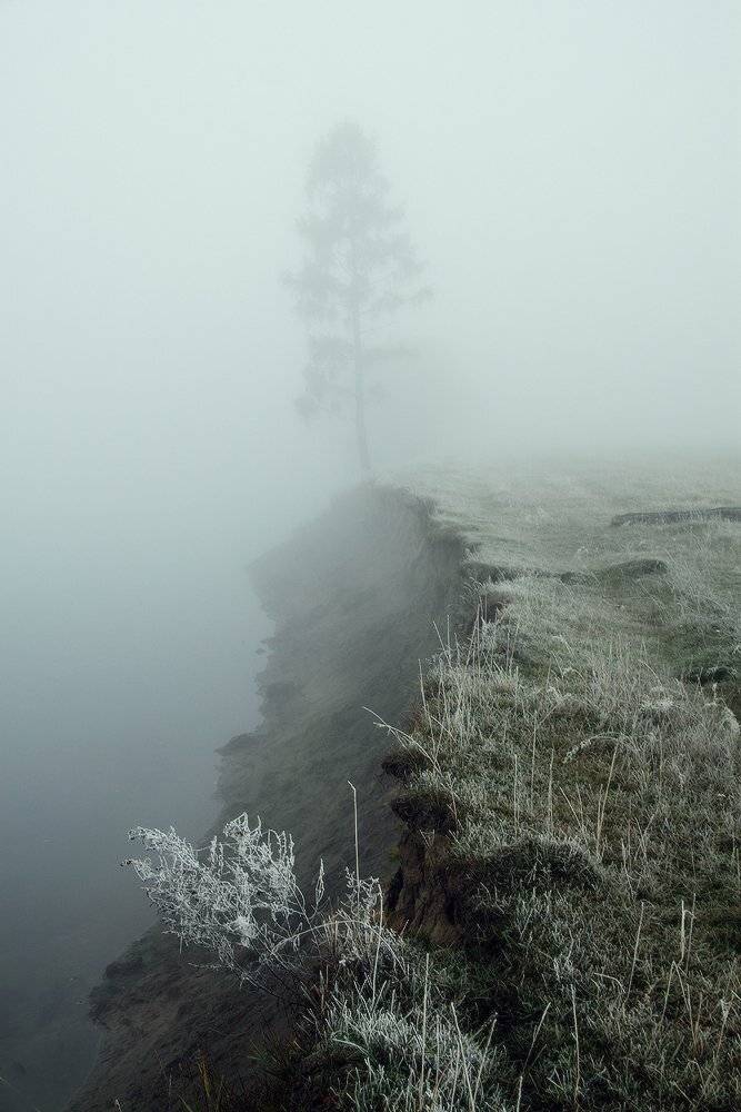 , Николай Морский