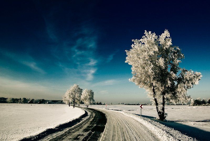 Tолько один день... фото превью