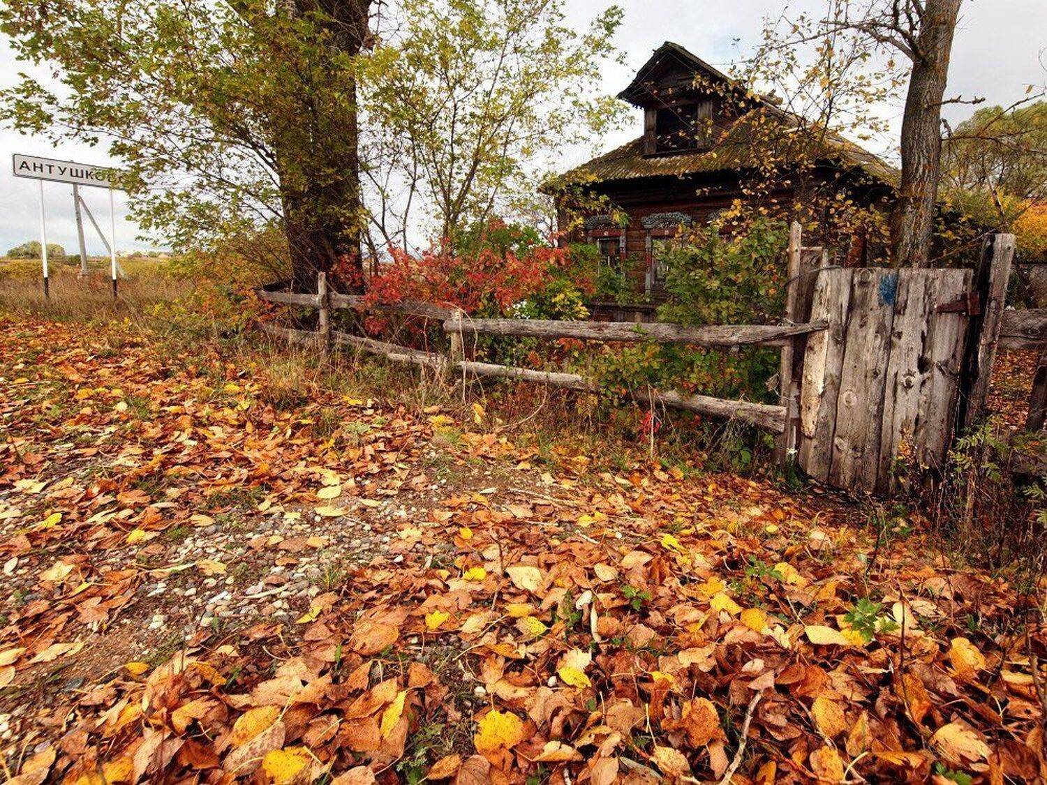 , Максим Евдокимов