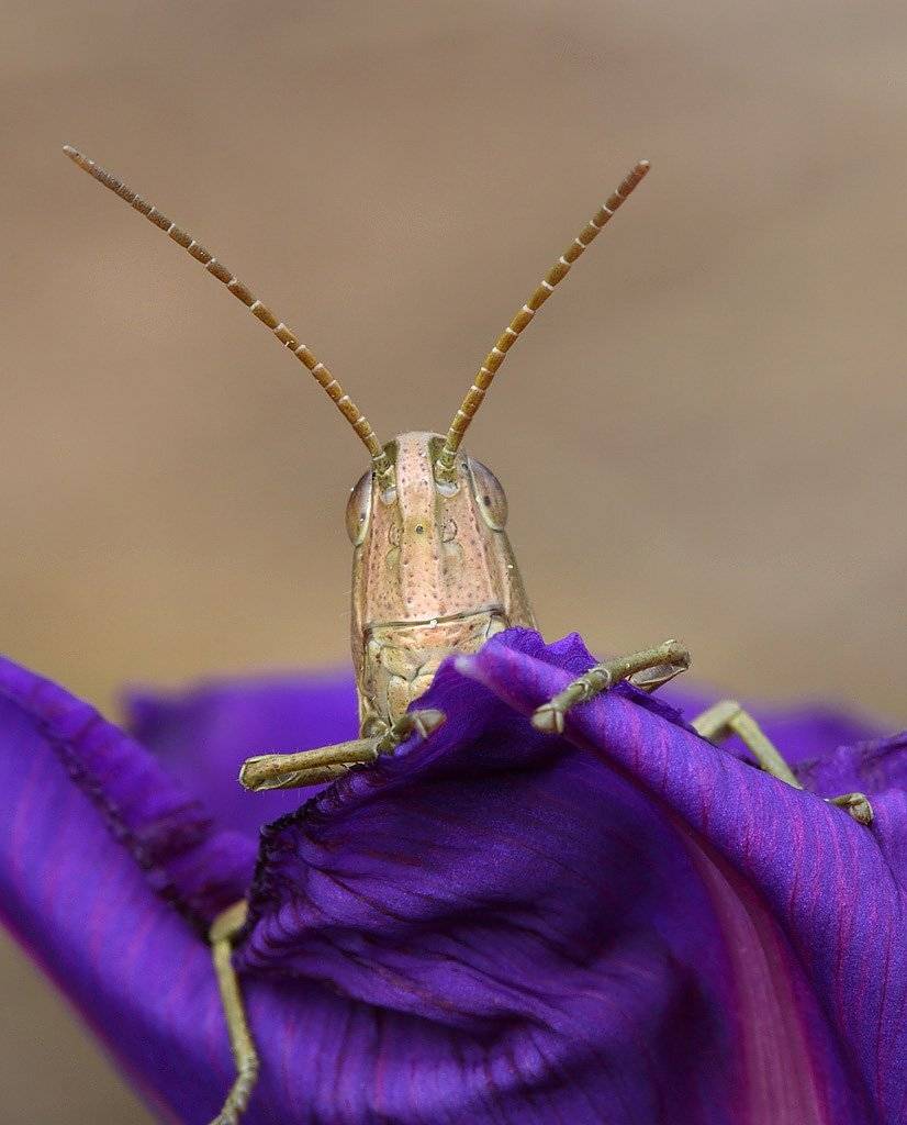 , Сергей Таланов