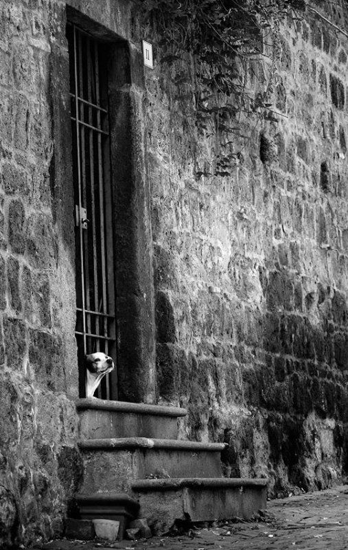 loneliness фото превью