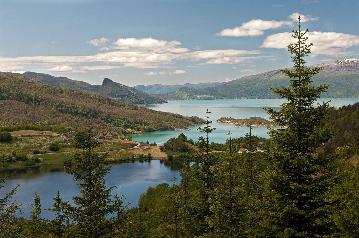 хардангерфьорд, Almaz