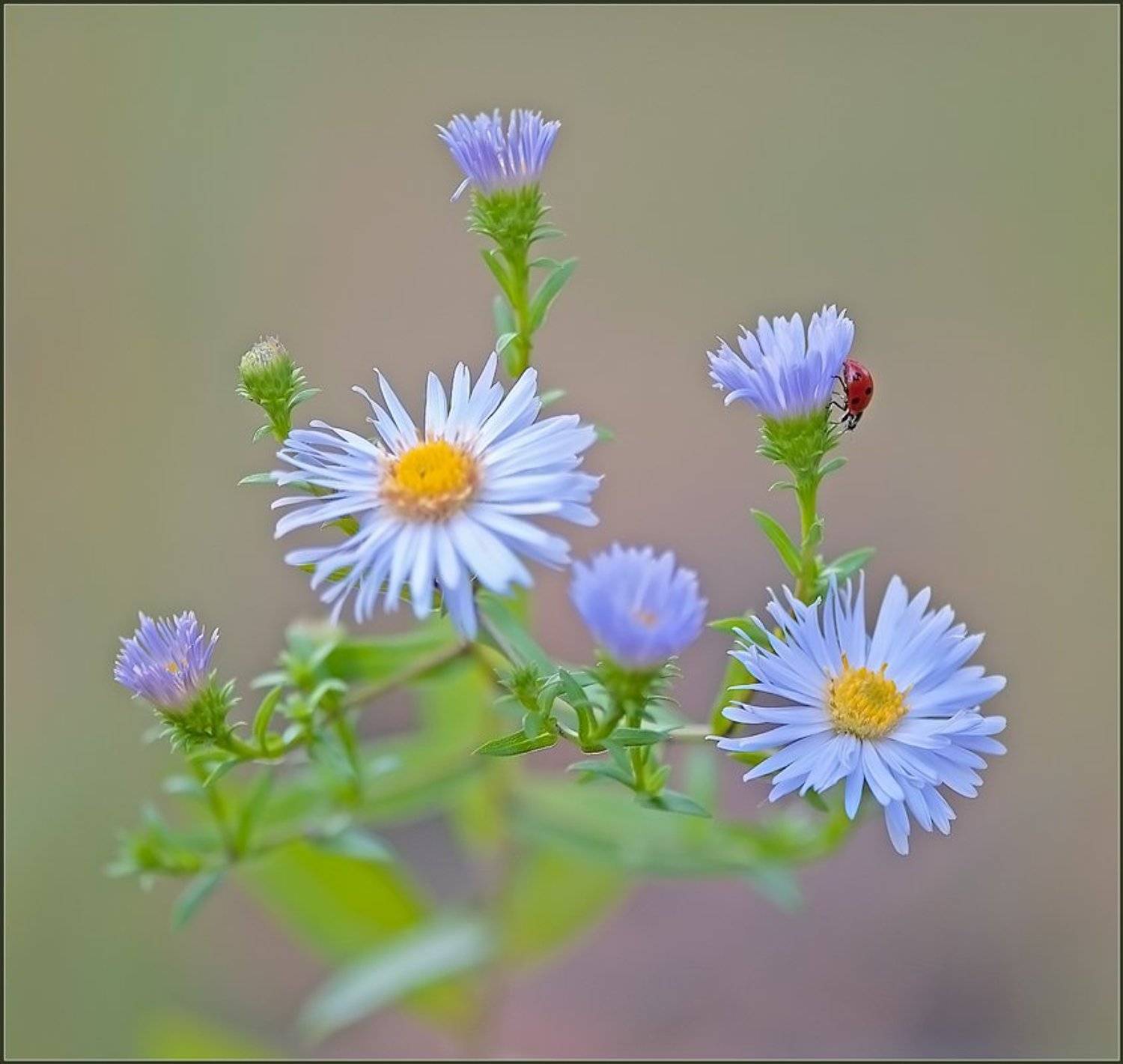 , Евгений Кирилкин.