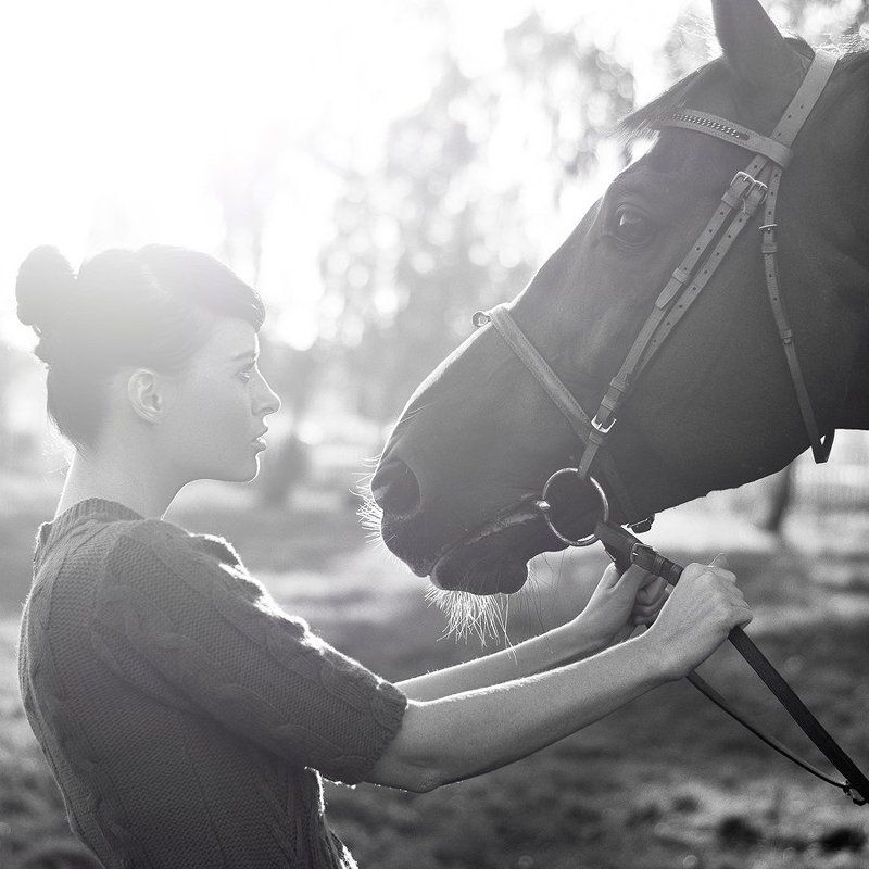 лошадь, девушка, девушка и лошадь, ч/б, портрет  фото превью