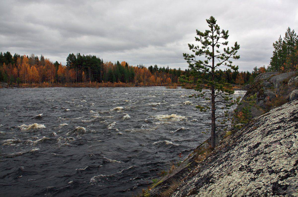 , Андрей Котов