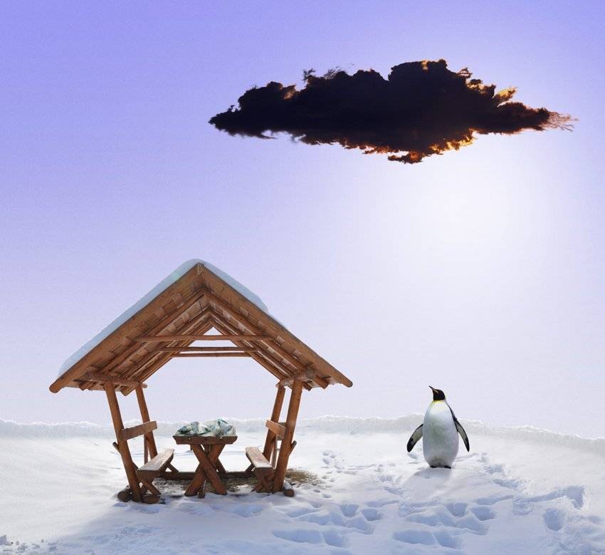 , Caras Ionut