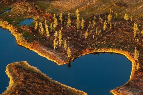 сентябрьские краски тундры