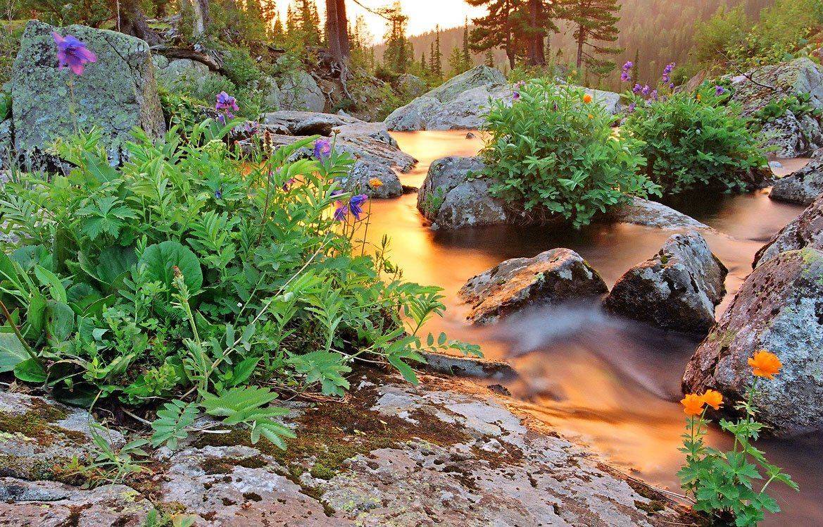 поднебесные, зубья, Александр Устинович