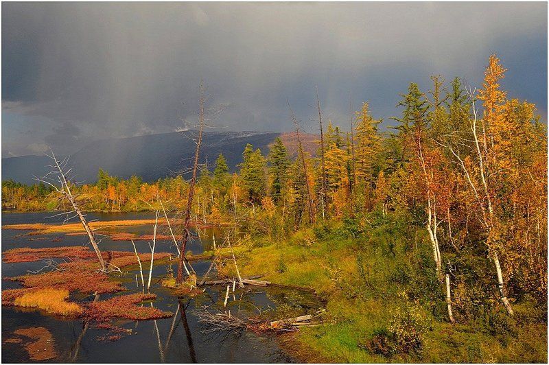 Осенний пейзаж фото превью
