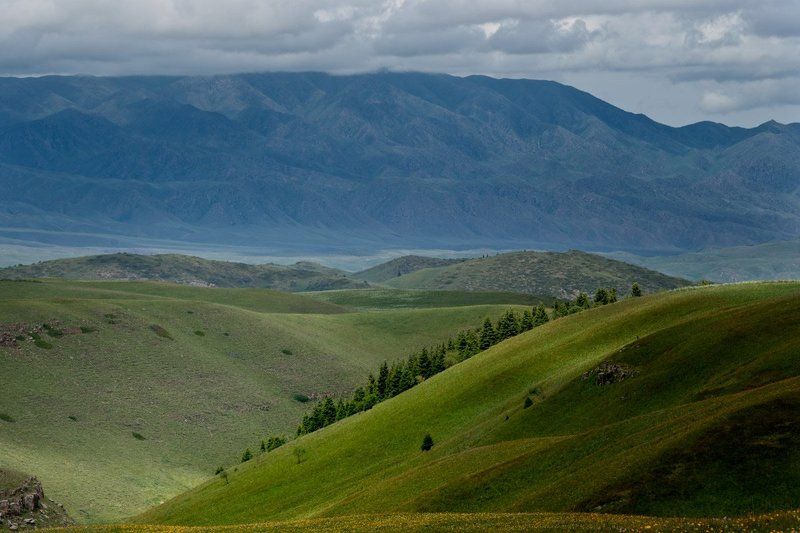 табан-карагой.казахстан,небо,горы,река,мазары.радуга,трава,алматинская область,заилийский алатау.чилик,жанишке,плато,асы, Табан карагой 2 фото превью