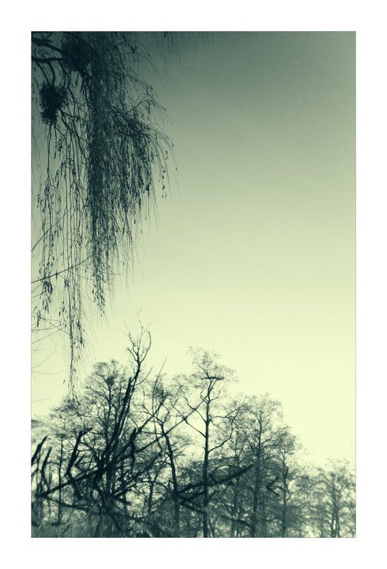 Haiku фото превью