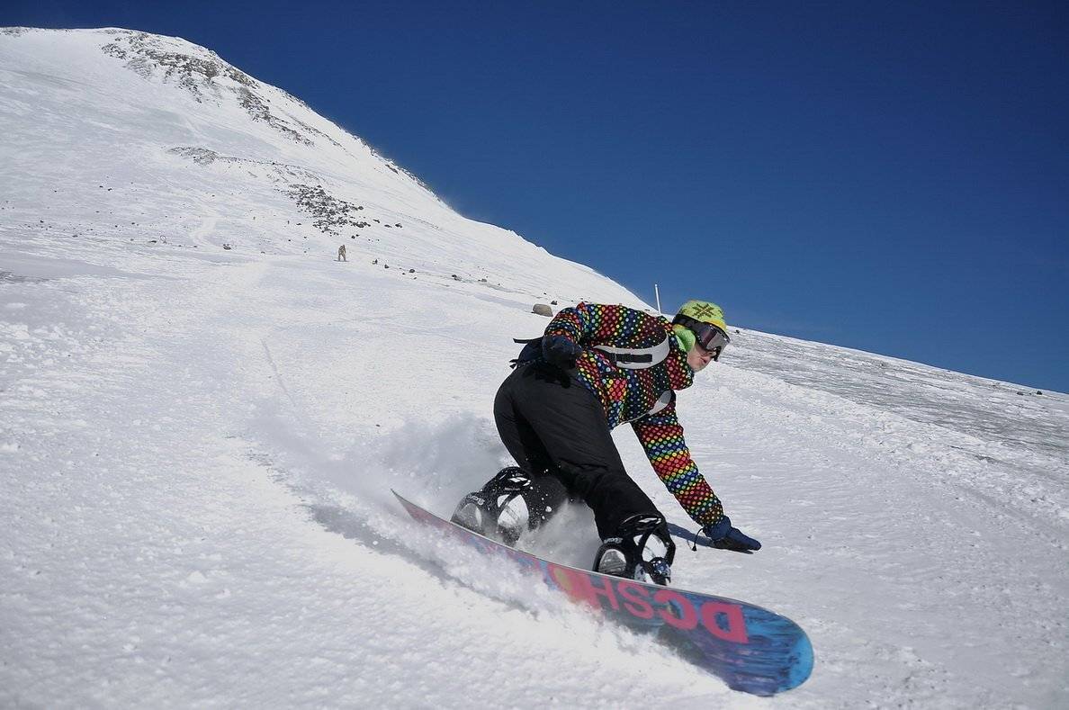 , максим куташев