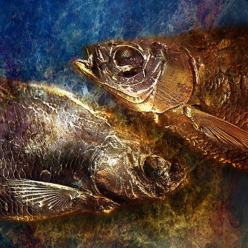 натюрморт, , музыка, николай дмитрук