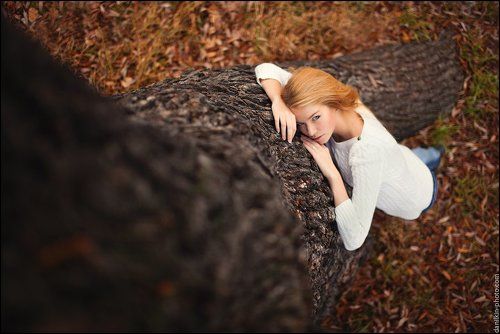 у дерева по осени