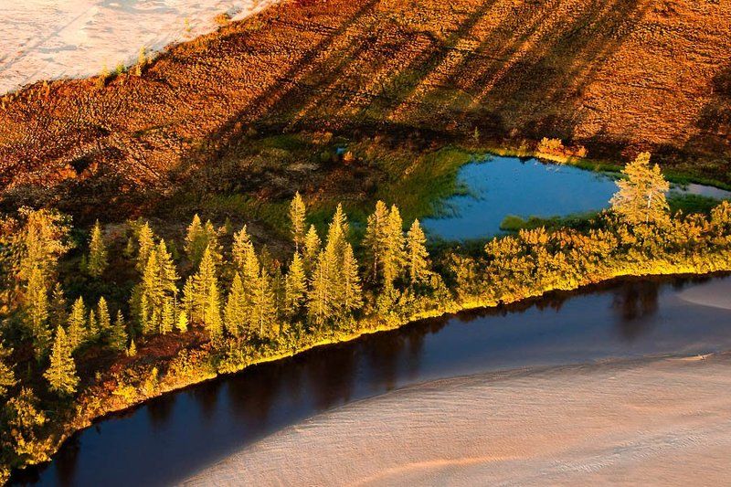 север,   тундра,   осень ,  аэросьемка сентябрьские краски тундры#2 фото превью