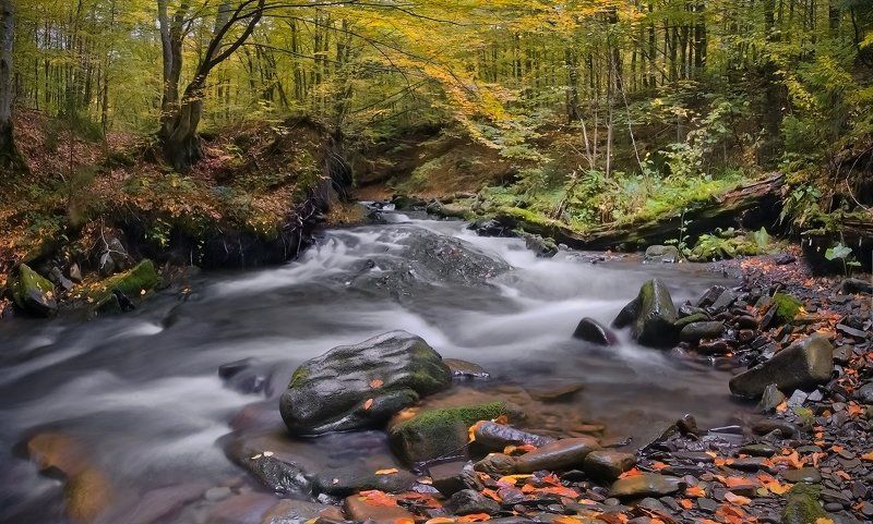 После дождя... фото превью