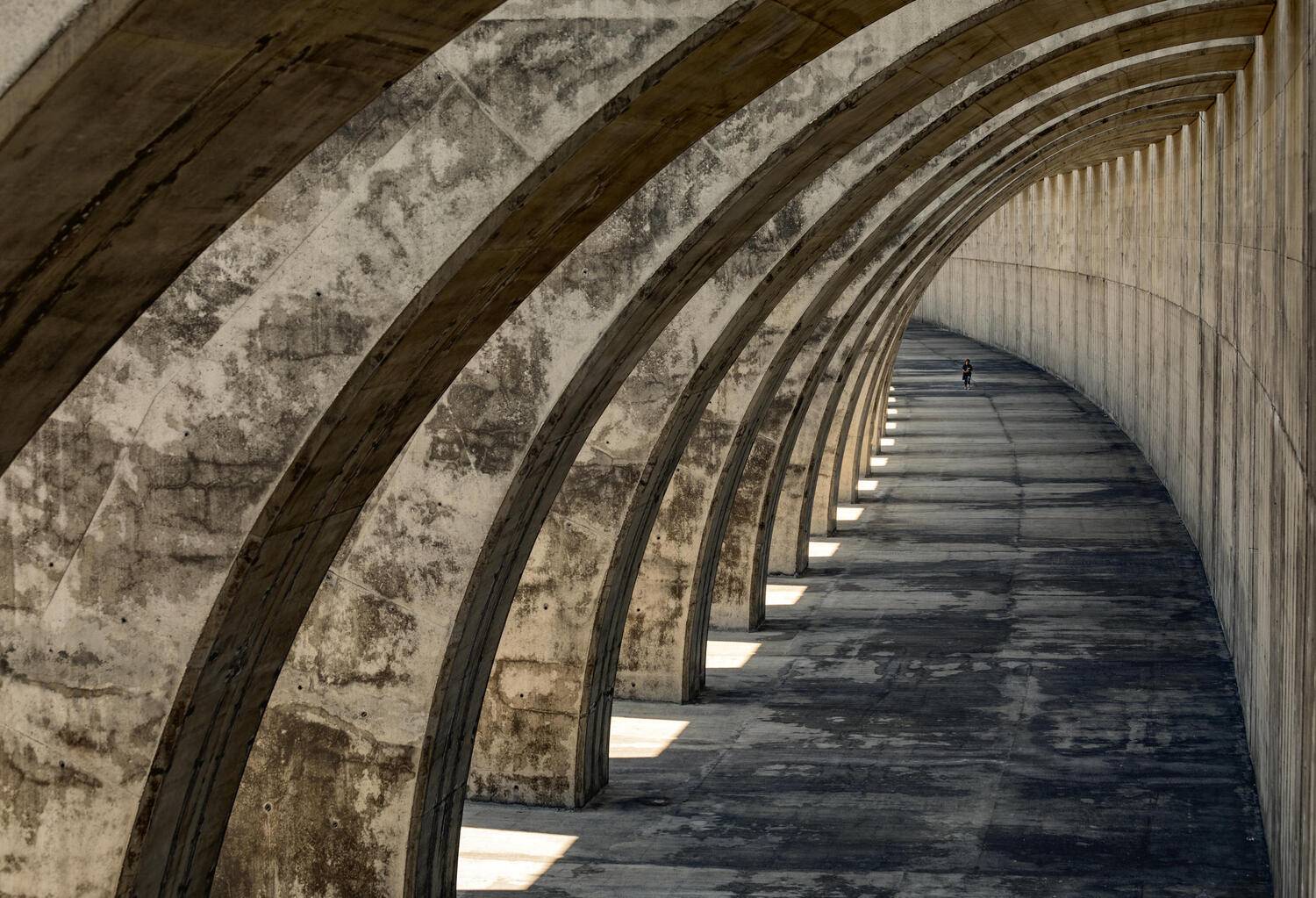 канары, Александр Безмолитвенный