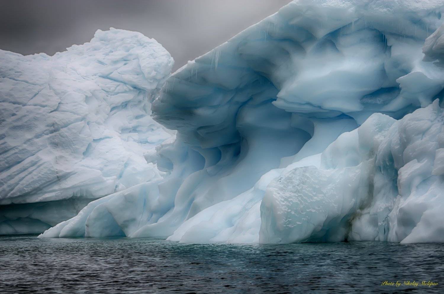 , Николай Шелепов